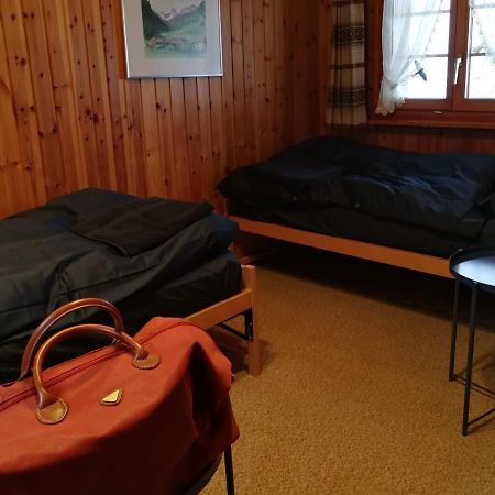 Casa Steilalva - Grosszuegiges Chalet Fuer Erholsamen Familienurlaub Surrein Extérieur photo